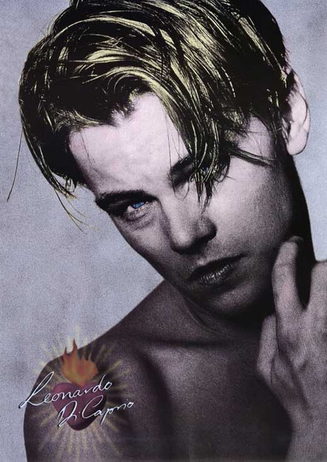 Leonardo DiCaprio Movie Poster Print (11 x 17) - Item # MOVIF9046