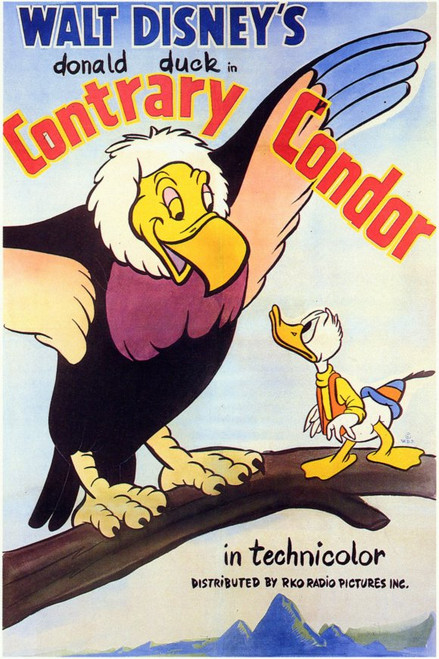 Contrary Condor Movie Poster Print (11 x 17) - Item # MOVCD7955