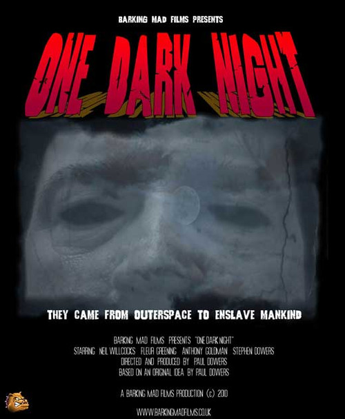 One Dark Night Movie Poster Print (11 x 17) - Item # MOVCB95663