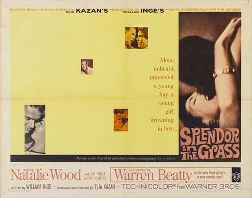 Splendor in the Grass Movie Poster Print (11 x 17) - Item # MOVAJ0233
