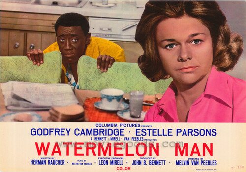 Watermelon Man Movie Poster Print (11 x 17) - Item # MOVGI6036