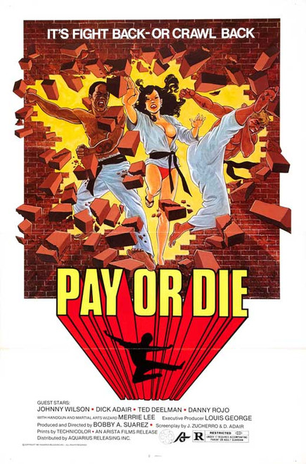 Pay or Die Movie Poster Print (27 x 40) - Item # MOVCB44411