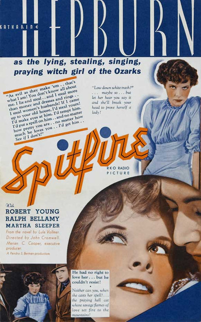Spitfire Movie Poster Print (11 x 17) - Item # MOVIB19260