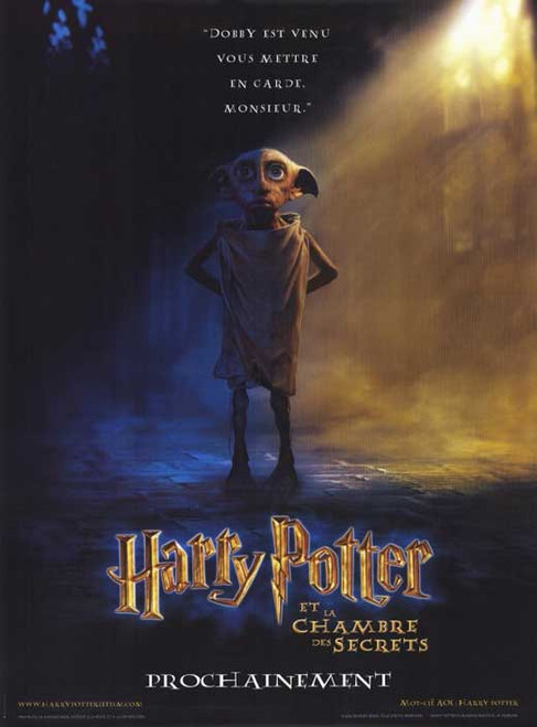 Harry Potter and the Chamber of Secrets Movie Poster Print (11 x 17) - Item # MOVEE0412