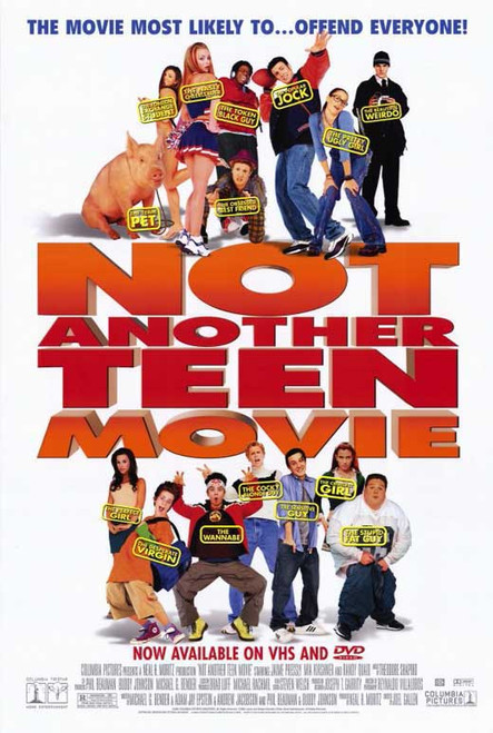 Not Another Teen Movie Movie Poster Print (11 x 17) - Item # MOVGE9313