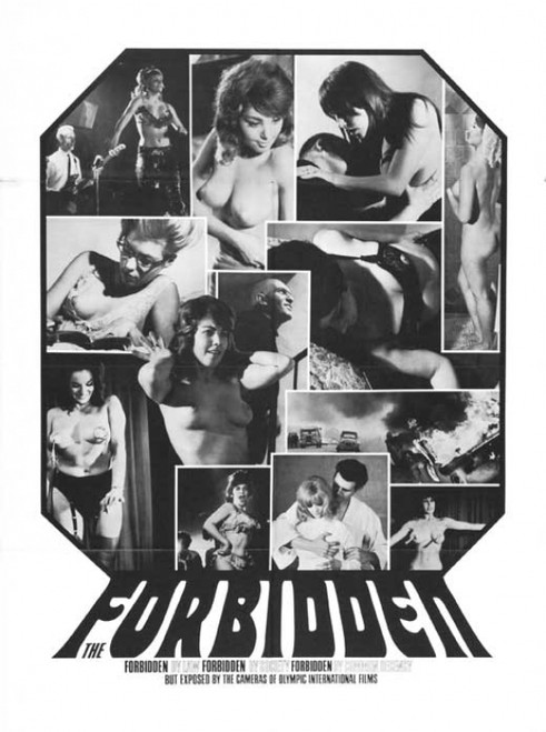 The Forbidden Movie Poster Print (27 x 40) - Item # MOVGB69204