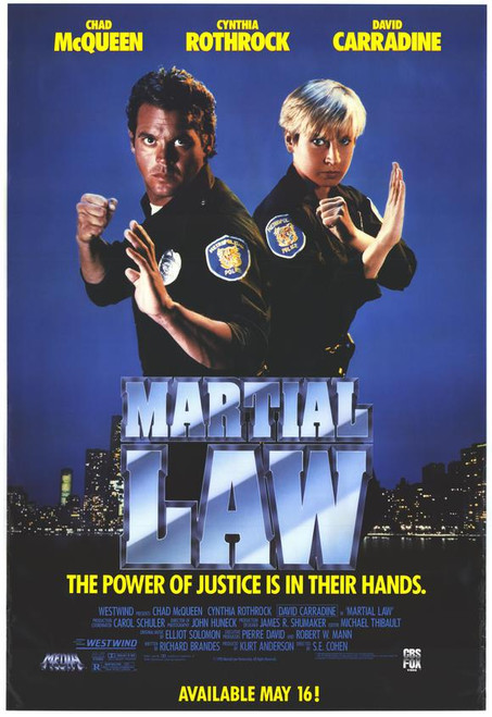 Martial Law II: Undercover Movie Poster Print (11 x 17) - Item # MOVCE8641