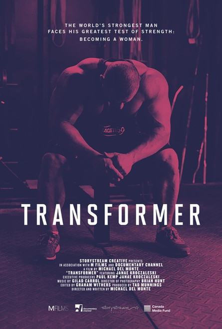Transformer Movie Poster Print (11 x 17) - Item # MOVIB41755