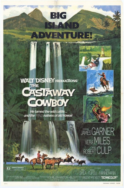 The Castaway Cowboy Movie Poster Print (11 x 17) - Item # MOVGF9195