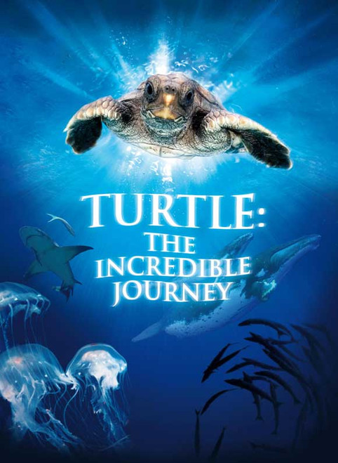 Turtle: The Incredible Journey Movie Poster Print (11 x 17) - Item # MOVAB79040