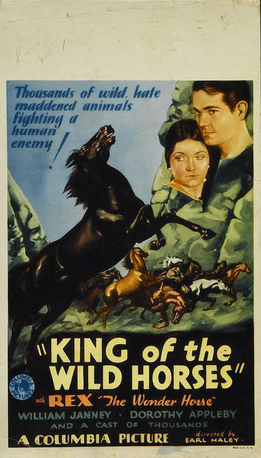 King of the Wild Horses Movie Poster Print (11 x 17) - Item # MOVEB89633