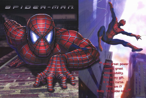 Spider-Man Movie Poster Print (11 x 17) - Item # MOVAF3108