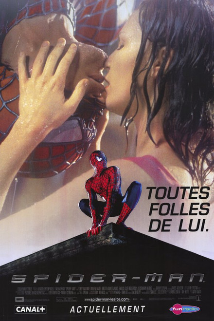 Spider-Man Movie Poster Print (11 x 17) - Item # MOVED0933