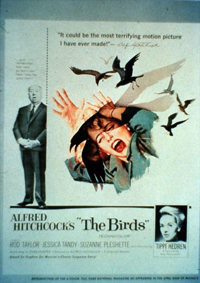 The Birds Movie Poster Print (27 x 40) - Item # MOVIJ0244