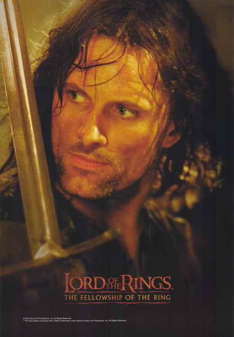 Lord of the Rings 1: The Fellowship of the Ring Movie Poster Print (11 x 17) - Item # MOVCE8951