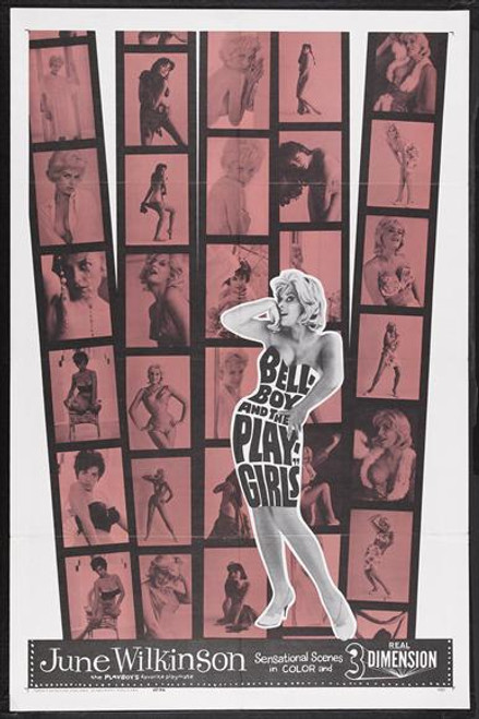 The Playgirls and the Bellboy Movie Poster Print (27 x 40) - Item # MOVEJ2241