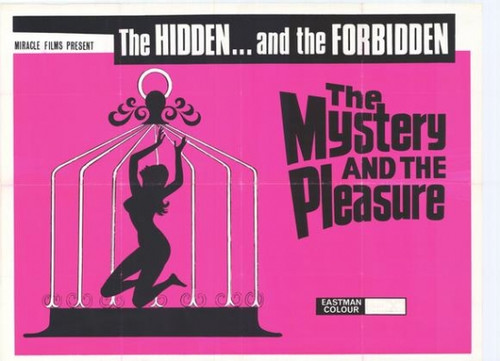 The Mystery and the Pleasure Movie Poster Print (27 x 40) - Item # MOVEH2332