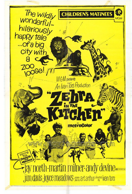 Zebra in the Kitchen Movie Poster Print (27 x 40) - Item # MOVEH3725