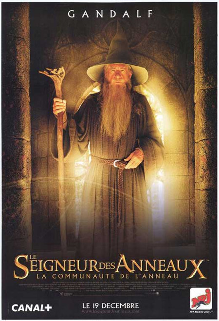Lord of the Rings 1: The Fellowship of the Ring Movie Poster Print (11 x 17) - Item # MOVIF1127