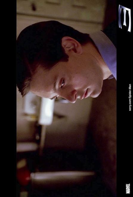 Spider-Man 3 Movie Poster Print (11 x 17) - Item # MOVAH7950