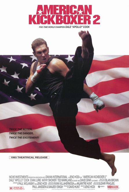 American Kickboxer 2 Movie Poster Print (11 x 17) - Item # MOVAE1629