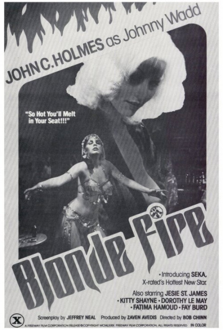 Blonde Fire Movie Poster Print (27 x 40) - Item # MOVIH3662
