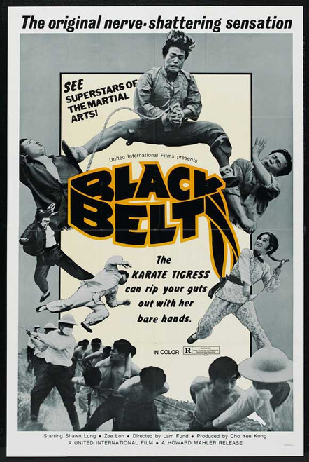 Black Belt Movie Poster Print (11 x 17) - Item # MOVGJ9289