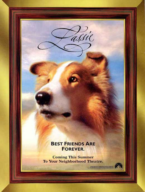 Lassie Movie Poster Print (27 x 40) - Item # MOVAJ2437