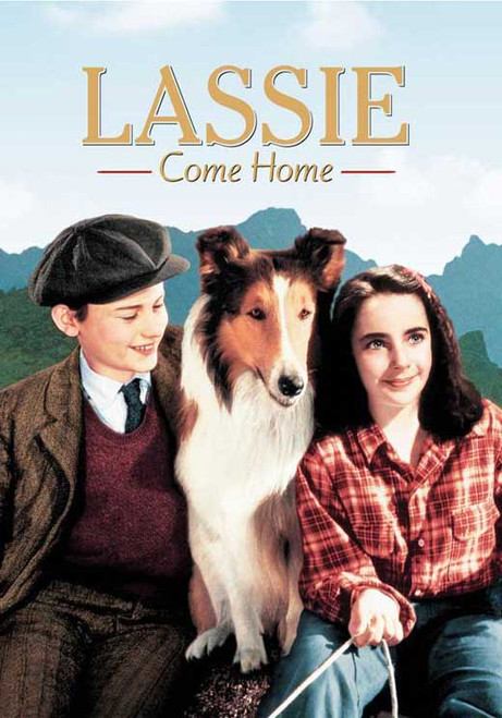 Son of Lassie Movie Poster (11 x 17) - Item # MOV199481 - Posterazzi