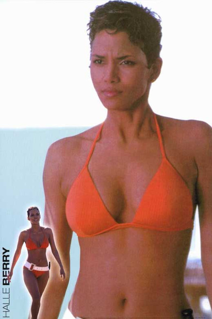 Die Another Day Movie Poster Print (11 x 17) - Item # MOVEF2070