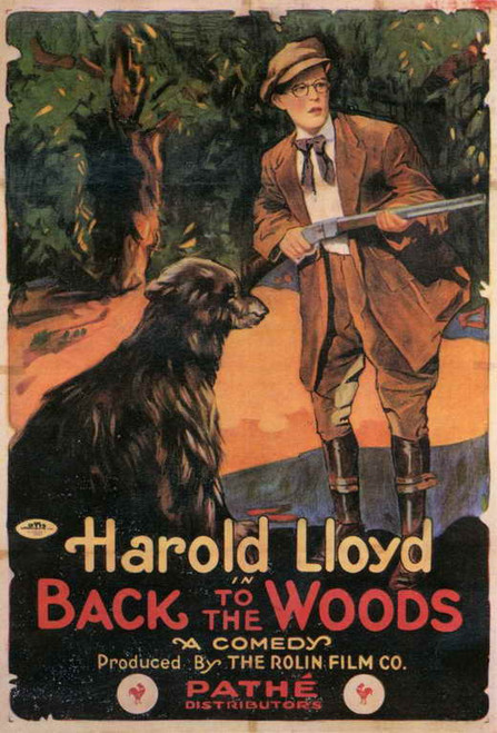 Back to the Woods Movie Poster Print (11 x 17) - Item # MOVIF4126