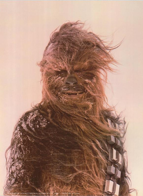 The Empire Strikes Back Movie Poster Print (11 x 17) - Item # MOVAH9581