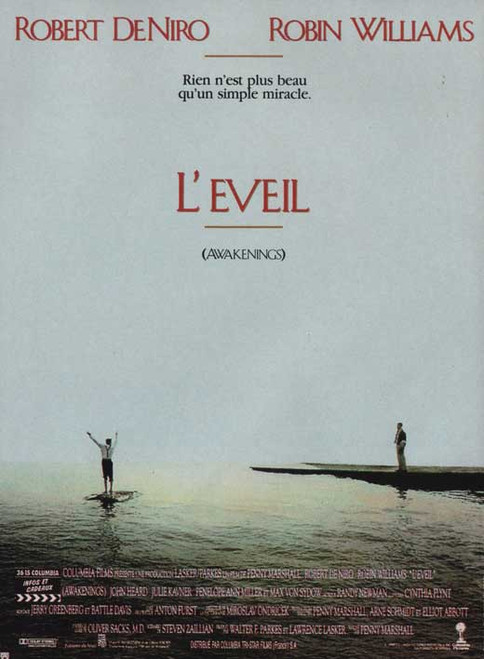 Awakenings Movie Poster Print (11 x 17) - Item # MOVEB30393
