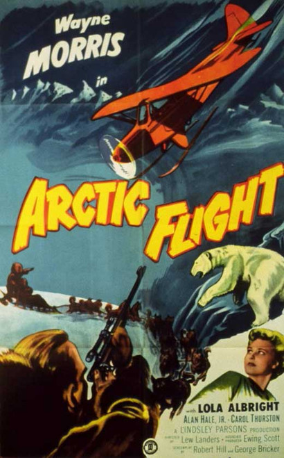 Arctic Flight Movie Poster Print (11 x 17) - Item # MOVCE3926