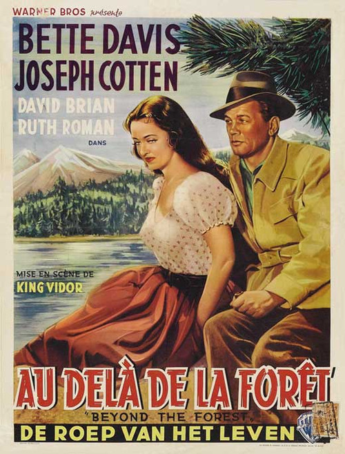 Beyond the Forest Movie Poster Print (11 x 17) - Item # MOVCI9314