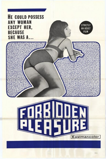 Forbidden Pleasure Movie Poster Print (11 x 17) - Item # MOVIE7121