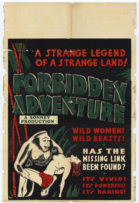 Forbidden Adventure Movie Poster Print (27 x 40) - Item # MOVIH8602