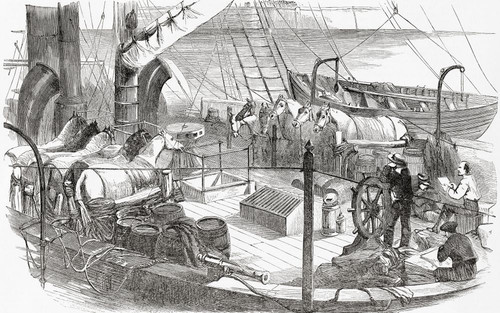 The transport of horses on board a ship by the Italian army.  From L'Univers Illustre, published Paris, 1859 Poster Print by Ken Welsh (19 x 12)
