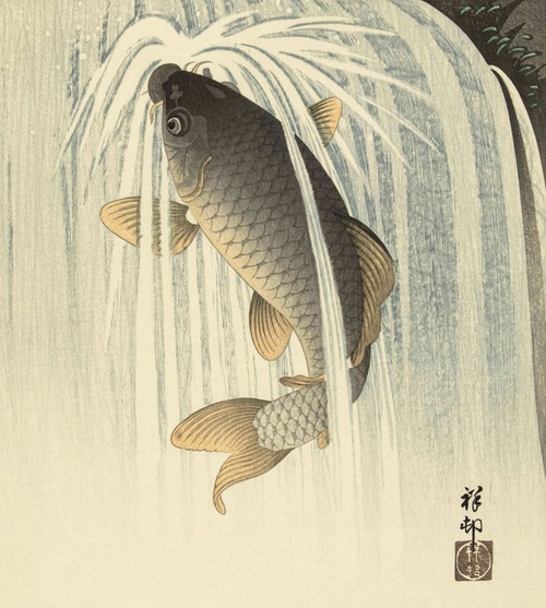 Carp Under a Waterfall, by Japanese artist Ohara Koson, 1877 - 1945.  Ohara Koson was part of the shin-hanga, or new prints movement. Poster Print by Ken Welsh (14 x 15)