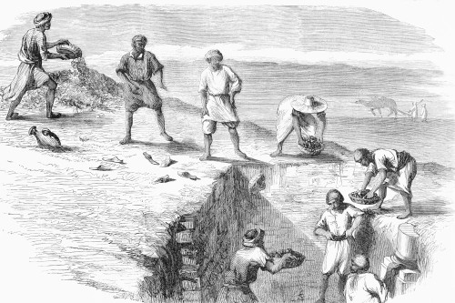 Arabs excavating the ruins of Carthage.  From L'Univers Illustre, published Paris, 1859 Poster Print by Ken Welsh (18 x 12)
