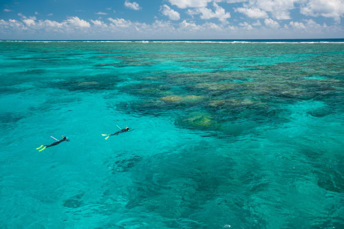 Divers explore the beautiful Great Barrier Reef out of Port Douglas in Australia; Queensland, Australia Poster Print by Michael Melford (17 x 11)
