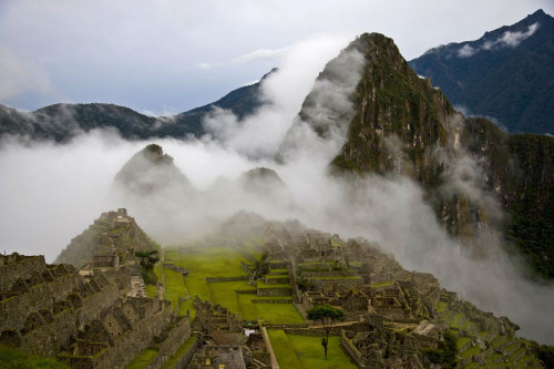 Cloud shrouded Machu Picchu; Machu Picchu, Peru Poster Print by Michael Melford (17 x 11)