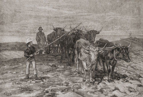 Ploughing on the Sussex Downs, England in the 19th century.  From The London Illustrated News, published 1881. Poster Print by Ken Welsh (19 x 13)