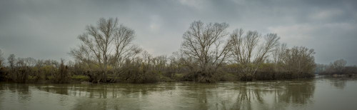 Shoreline reflections in a tranquil river scene, Ebro River, Spain; Benissanet, Tarragona, Spain Poster Print by Dosfotos (33 x 10)