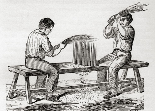 Workers shredding flax, 19th century.  From Le Savant du Foyer ou Notions Scientifiques Sur Les Objets Usuels de la Vie, published 1864 Poster Print by Ken Welsh (18 x 13)