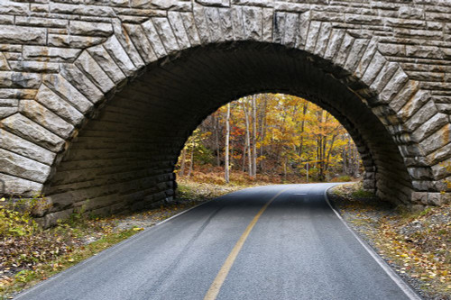 Road through Acadia National Park. Poster Print by Loop Images Ltd. (17 x 11)
