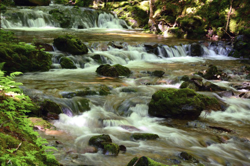 Cascading water at Dickson Falls in Fundy National Park.; Dickson Falls, Fundy National Park, New Brunswick, Canada. Poster Print by Darlyne Murawski (20 x 13)