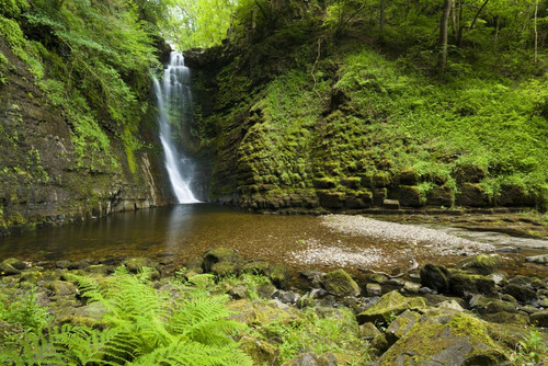 The Sgwd Einion Gam waterfall on the River Pyrddin in the Brecon Beacons National Park. Poster Print by Loop Images Ltd. (20 x 13)