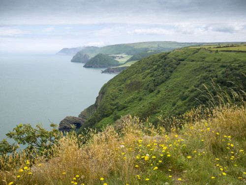 View over Wringapeak to Valley of the Rocks and Foreland Point from the upper coast path between Heddon's Mouth and Woody Bay in Exmoor National Park. Poster Print by Loop Images Ltd. (17 x 13)