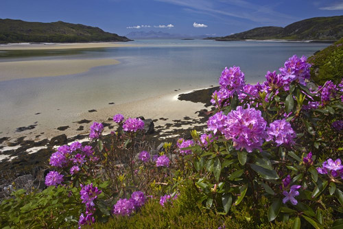 The view over Morar Sands with the islands of Eigg and Rhum on the horizon. Poster Print by Loop Images Ltd. (18 x 12)